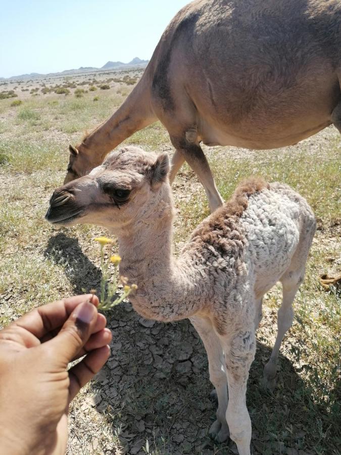 Masirah Beach Camp Al Qārin Buitenkant foto