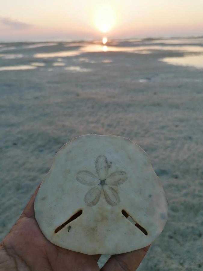 Masirah Beach Camp Al Qārin Buitenkant foto