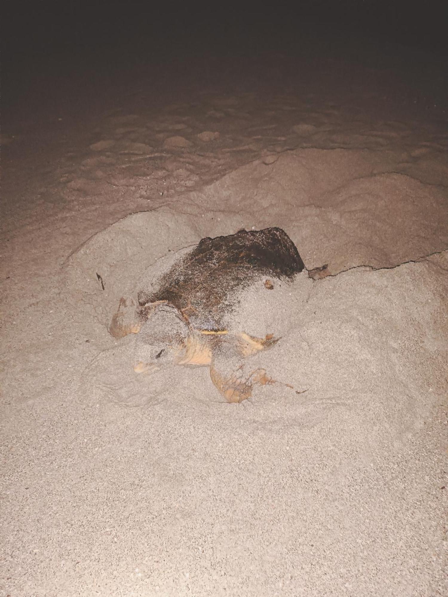 Masirah Beach Camp Al Qārin Buitenkant foto
